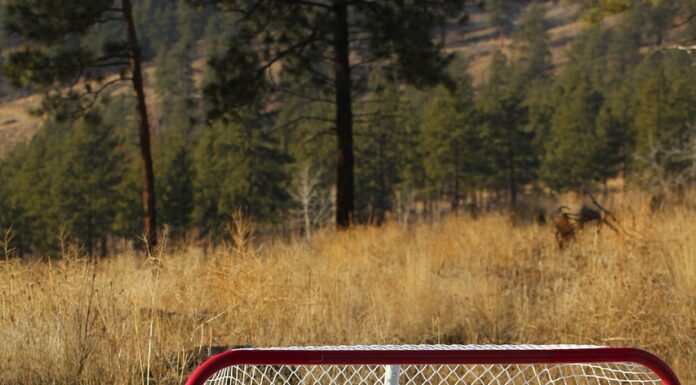 Idrettspresidenten hardt ut mot regjeringens anleggsplan: – Helt uforståelig