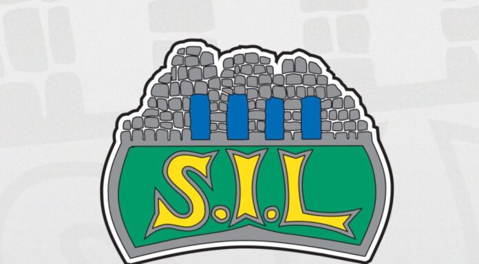 Storhamar Hockey-styret frykter samme skjebne som Vipers