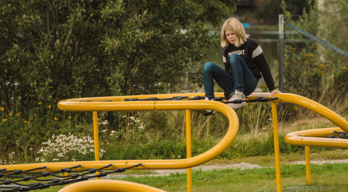 «Egenorganisert aktivitet forvitrer ikke – den har fornyet seg»