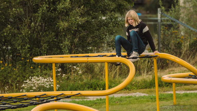 «Egenorganisert aktivitet forvitrer ikke – den har fornyet seg»